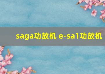 saga功放机 e-sa1功放机